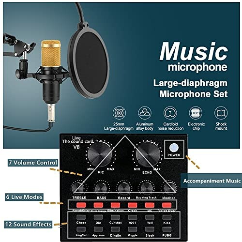 Large-diaphragm microphone set with sound card and controls.