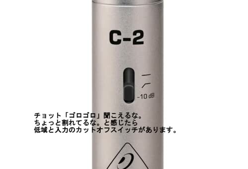 Microphone with Japanese text and input switch