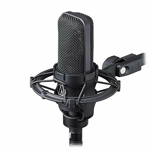 Side view of a studio microphone with shock mount.