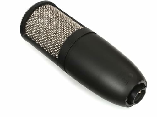 Black and silver studio microphone